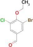 3-bromo-5-chloro-4-ethoxybenzaldehyde