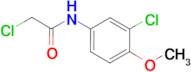 2-chloro-N-(3-chloro-4-methoxyphenyl)acetamide