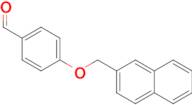 4-(2-naphthylmethoxy)benzaldehyde