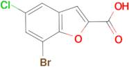 7-bromo-5-chloro-1-benzofuran-2-carboxylic acid