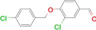 3-chloro-4-[(4-chlorobenzyl)oxy]benzaldehyde