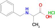 N-benzylalanine hydrochloride