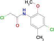 2-chloro-N-(4-chloro-2-methoxy-5-methylphenyl)acetamide