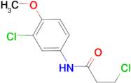 3-chloro-N-(3-chloro-4-methoxyphenyl)propanamide