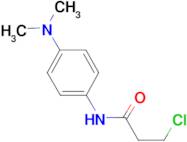 3-chloro-N-[4-(dimethylamino)phenyl]propanamide