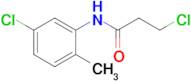 3-chloro-N-(5-chloro-2-methylphenyl)propanamide