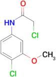2-chloro-N-(4-chloro-3-methoxyphenyl)acetamide