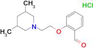 2-[2-(3,5-dimethyl-1-piperidinyl)ethoxy]benzaldehyde hydrochloride