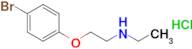 [2-(4-bromophenoxy)ethyl]ethylamine hydrochloride