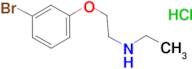 [2-(3-bromophenoxy)ethyl]ethylamine hydrochloride