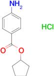 cyclopentyl 4-aminobenzoate hydrochloride