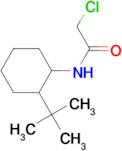 N-(2-tert-butylcyclohexyl)-2-chloroacetamide