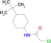 N-(4-tert-butylcyclohexyl)-2-chloroacetamide