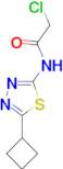 2-chloro-N-(5-cyclobutyl-1,3,4-thiadiazol-2-yl)acetamide