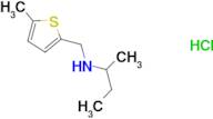 N-[(5-methyl-2-thienyl)methyl]-2-butanamine hydrochloride