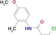 3-chloro-N-(4-methoxy-2-methylphenyl)propanamide