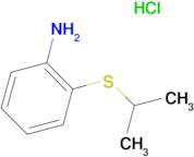 [2-(isopropylthio)phenyl]amine hydrochloride