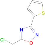 5-Chloromethyl-3-thiophen-2-yl-[1,2,4]oxadiazole