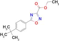 Ethyl 5-(4-tert-butylphenyl)-[1,2,4]oxadiazole-3-carboxylate