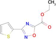Ethyl 3-thiophen-2-yl-[1,2,4]oxadiazole-5-carboxylate