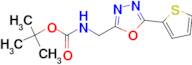 2-tert-Butyloxycarbonylaminomethyl-5-thiophen-2-yl-[1,3,4]oxadiazole