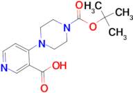 1-tert-Butyloxycarbonyl 4-(3-carboxypyridin-4-yl)piperazine