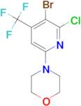 4-[5-Bromo-6-chloro-4-(trifluoromethyl)pyridin-2-yl]morpholine