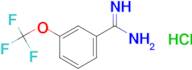 3-(Trifluoromethoxy)benzamidine hydrochloride