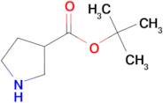 tert-Butyl pyrrolidine-3-carboxylate