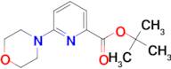 tert-Butyl 6-morpholin-4-ylpyridine-2-carboxylate