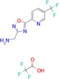 {5-[5-(Trifluoromethyl)pyridin-2-yl]-1,2,4-oxadiazol-3-yl}methylamine 2,2,2-trifluoroacetate