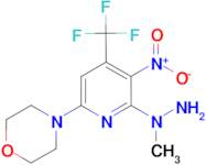 4-[6-(1-Methylhydrazinyl)-5-nitro-4-(trifluoromethyl)pyridin-2-yl]morpholine