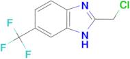 2-Chloromethyl-6-trifluoromethyl-1H-benzoimidazole
