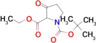 3-Oxo-pyrrolidine-1,2-dicarboxylic acid 1-tert-butyl ester 2-ethyl ester