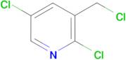 2,5-Dichloro-3-chloromethyl-pyridine