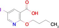 2-Butoxy-5-iodonicotinic acid