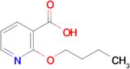 2-Butoxynicotinic acid