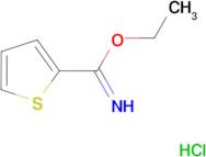 Thiophene-2-carboximidic acid ethyl ester; hydrochloride