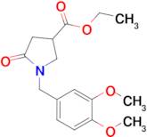 1-(3,4-Dimethoxy-benzyl)-5-oxo-pyrrolidine-3-carboxylic acid ethyl ester