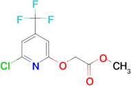 (6-Chloro-4-trifluoromethyl-pyridin-2-yloxy)-acetic acid methyl ester