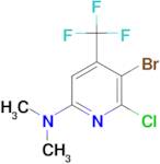 (5-Bromo-6-chloro-4-trifluoromethyl-pyridin-2-yl)-dimethyl-amine