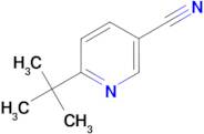 6-tert-Butyl-nicotinonitrile