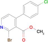 2-Bromo-4-(4-chloro-phenyl)-nicotinic acid methyl ester