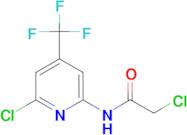 2-Chloro-N-(6-chloro-4-trifluoromethyl-pyridin-2-yl)-acetamide