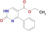 2-Hydroxy-4-phenyl-pyrimidine-5-carboxylic acid ethyl ester