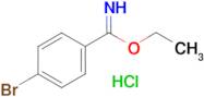 4-Bromo-benzimidic acid ethyl ester; hydrochloride