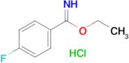 4-Fluoro-benzimidic acid ethyl ester; hydrochloride