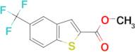 5-Trifluoromethyl-benzo[b]thiophene-2-carboxylic acid methyl ester