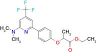 2-[4-(6-Dimethylamino-4-trifluoromethyl-pyridin-2-yl)-phenoxy]-propionic acid ethyl ester