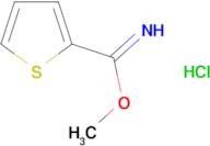 Thiophene-2-carboximidic acid methyl ester; hydrochloride